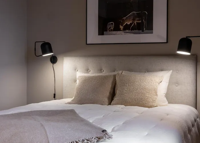 Joikun Lumo By Hi Yllaes *